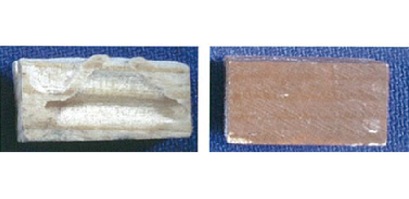 防白蟻測試，左方木板無塗裝，受白蟻啃咬露出內部木纖維；右方木板塗裝水性護木油VATON PLUS，無受到白蟻侵蝕情形。